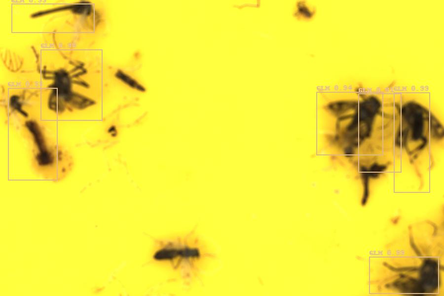 Image 10